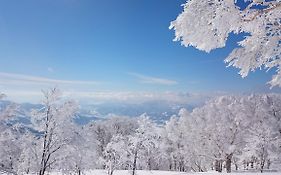 Nozawa Dream